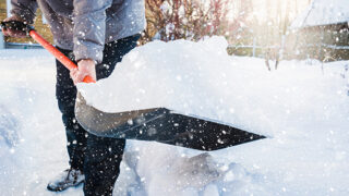 Person holding a shovel full of snow
