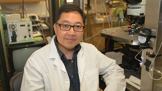 Damian Shin, PhD, associate professor in the Departments of Neuroscience and Experimental Therapeutics (DNET) and Neurology, has been appointed interim chair of DNET.