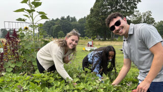 students volunteering at community garden in Saratoga