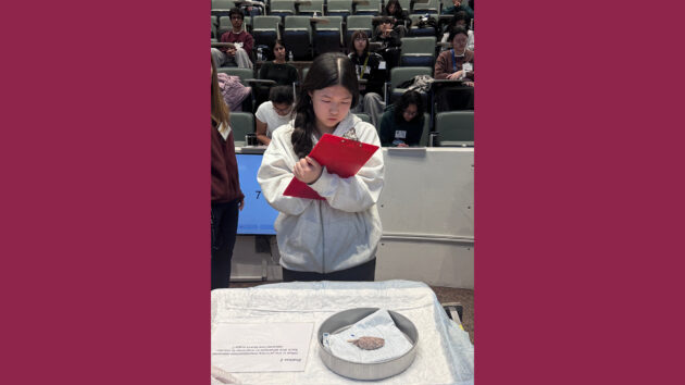 A student during the practical round at the 2026 Albany Regional Brain Bee