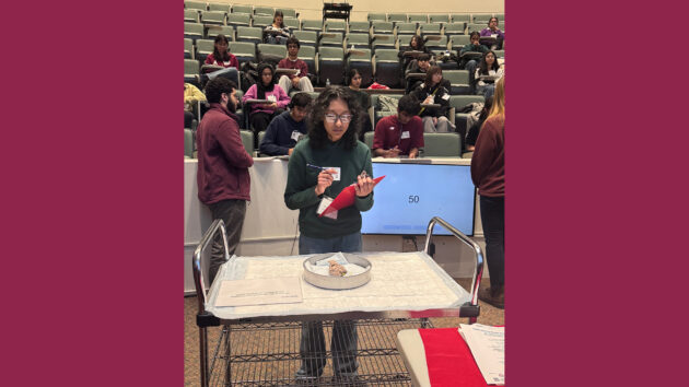 A student during the practical round at the 2026 Albany Regional Brain Bee